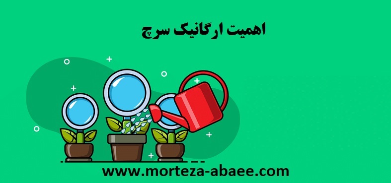ارگانیک سرچ 4