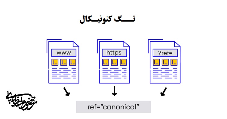 تگ کنونیکال 6